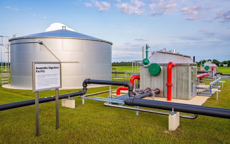 biomass conversion technologies.jpg