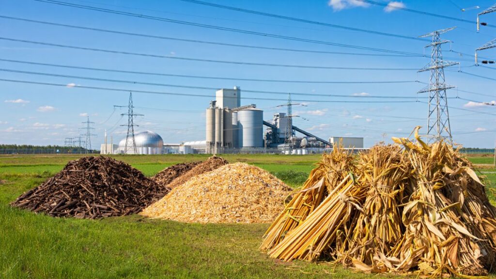Renewable biomass energy illustration showing agricultural waste, forestry residues, and municipal solid waste powering electricity, advantages and disadvantages of bio mass shown also