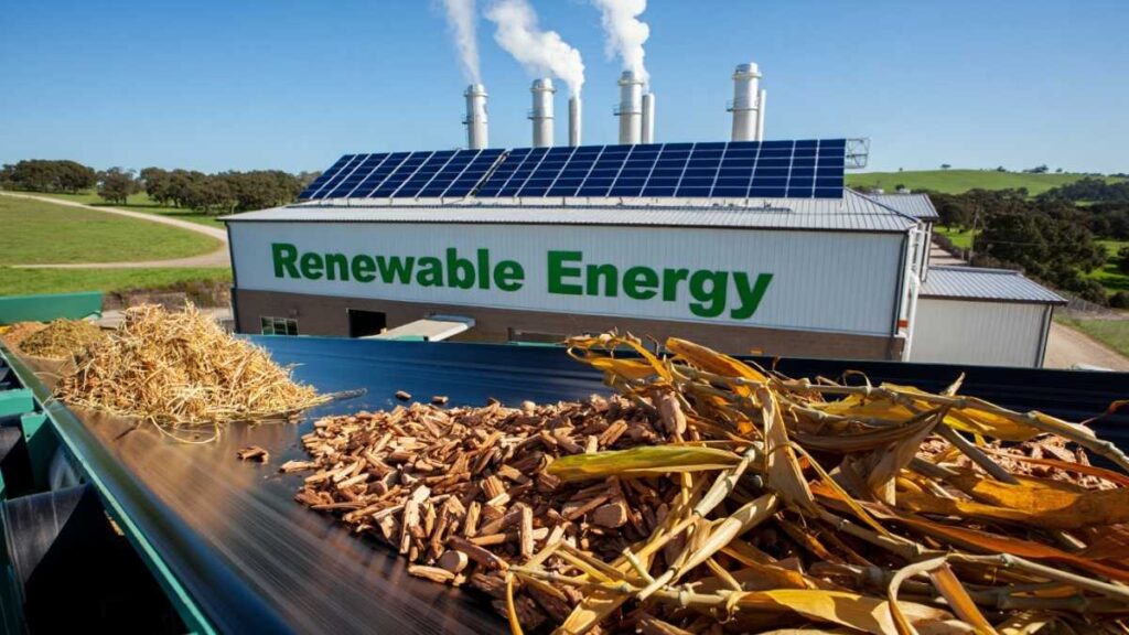 Biomass energy is it renewable - organic feedstocks and clean power generation in the USA