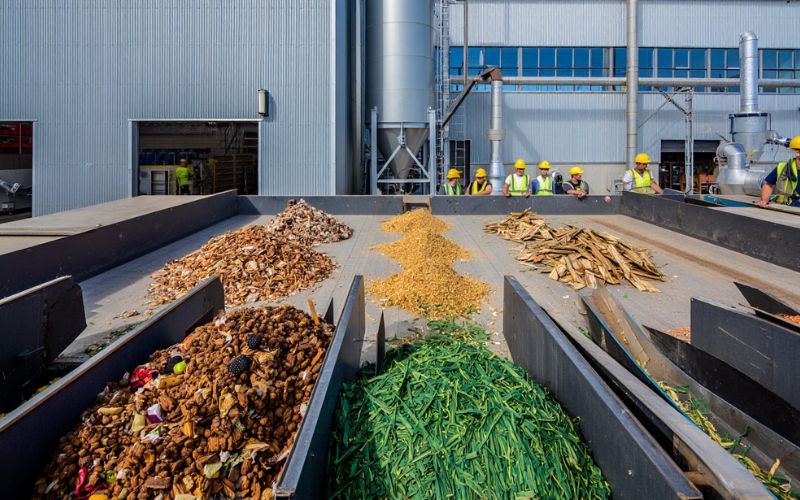 biomass feedstocks types.jpg