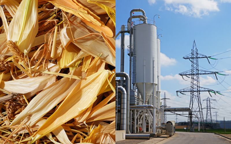 Photo of a biomass power plant in the USA producing renewable electricity