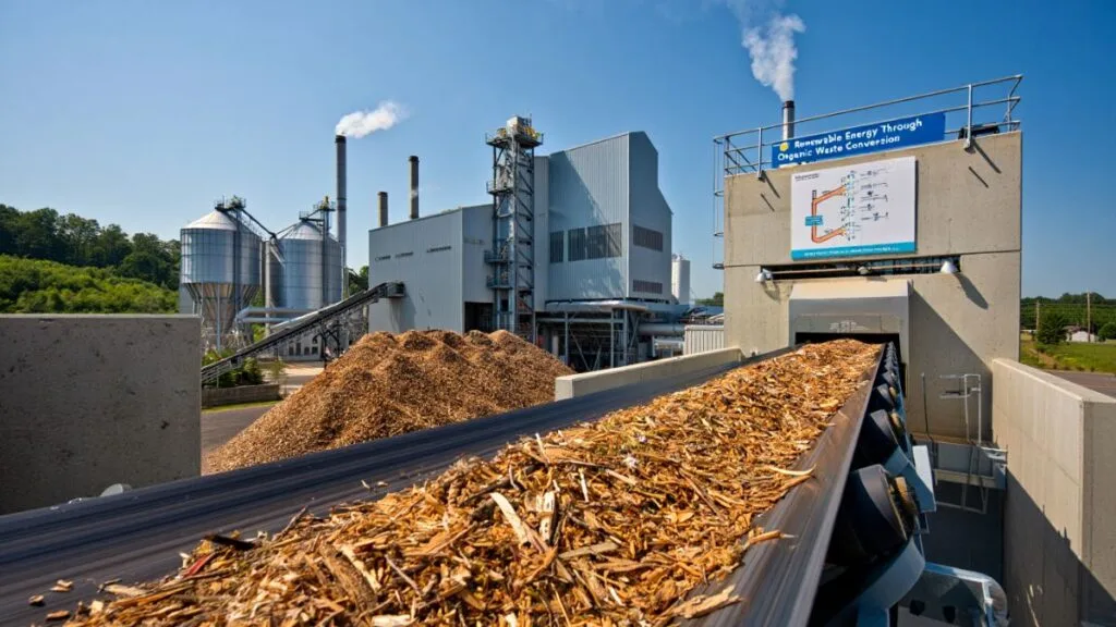 Biomass Renewable Energy  Turning Waste & Plants Into Power (Beginner's  Guide) - Renewable Energy